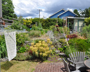Every project starts with an opportunity and a vision.  In this lushly landscaped backyard, the owners envisioned a studio space for two - with natural light, views and a very short commute.