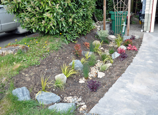 A rain garden to the north of the cottage helps handle runoff from the roof and provides attractive landscaping at the same time