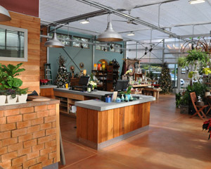 custom greenhouse with lots of light and space