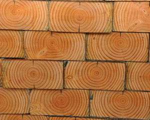 wood paneling from the demolished house